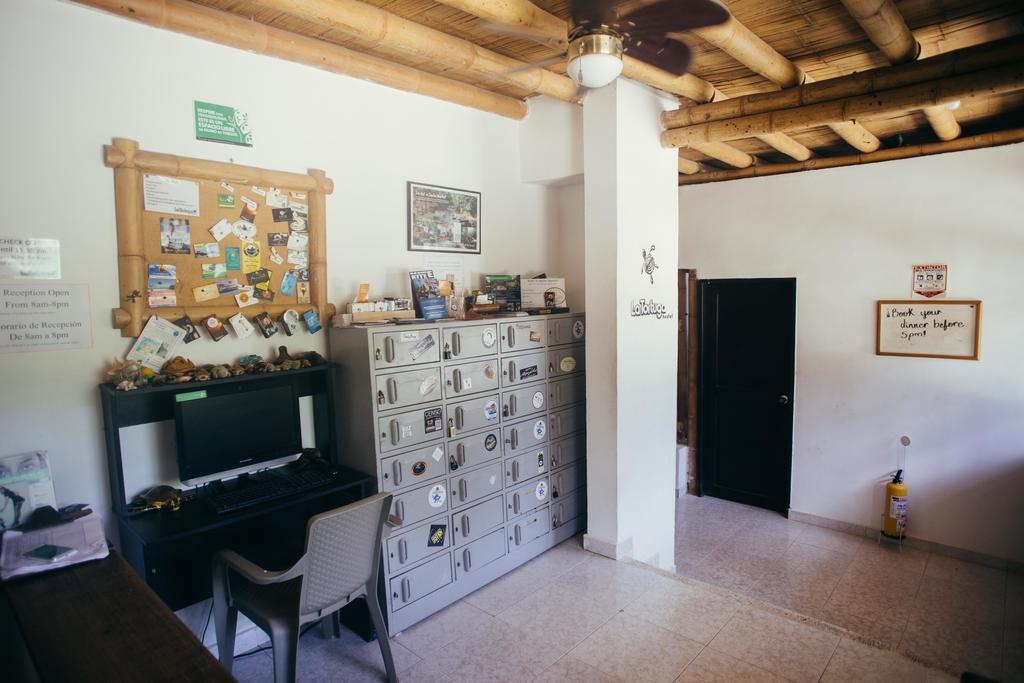 La Tortuga Hostel تاجانجا المظهر الخارجي الصورة
